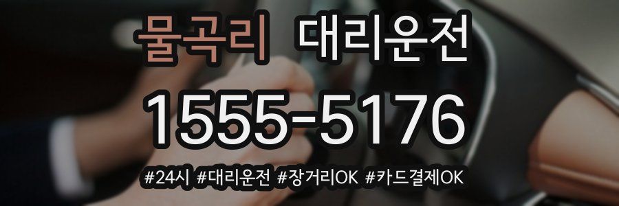 물곡리 대리운전