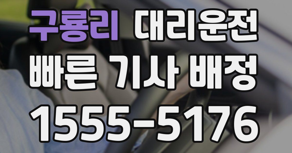 일일대리기사