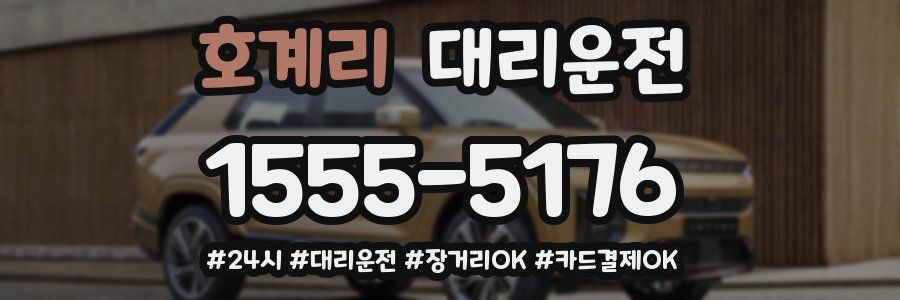 호계리 대리운전