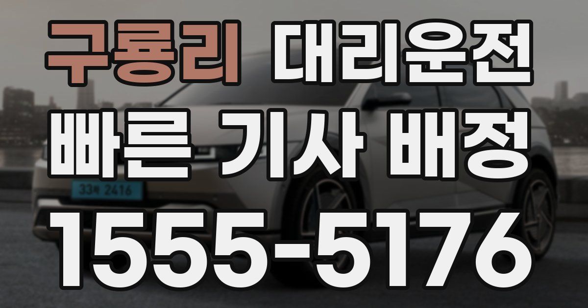일일대리기사