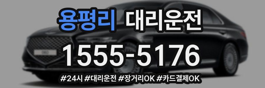 용평리 대리운전