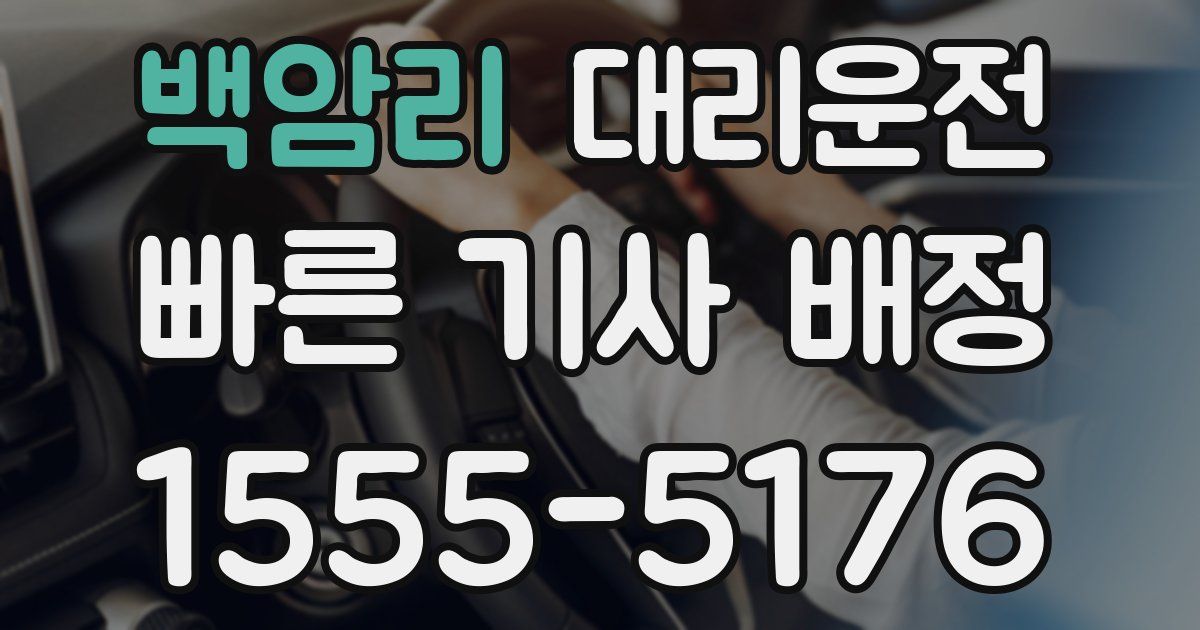 일일대리기사