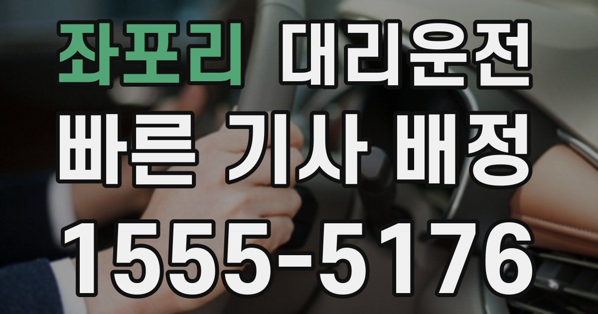일일대리기사