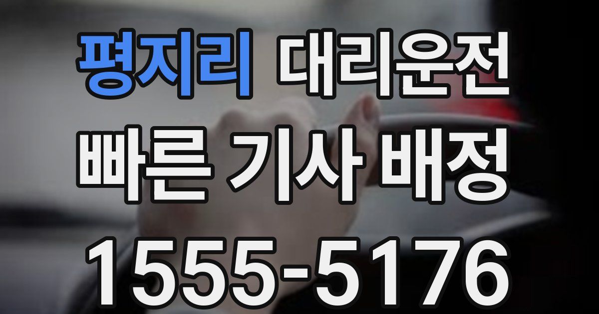 일일대리기사
