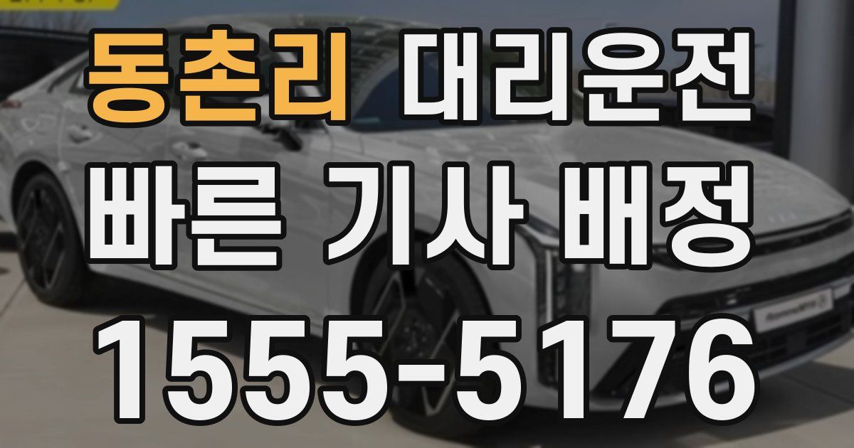 일일대리기사