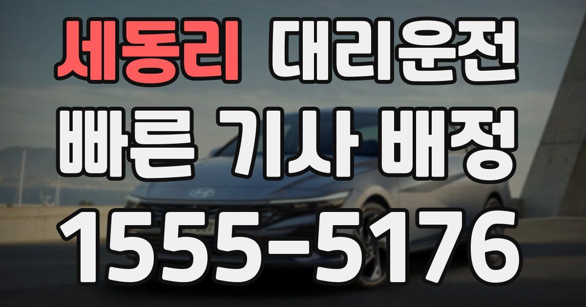 일일대리기사