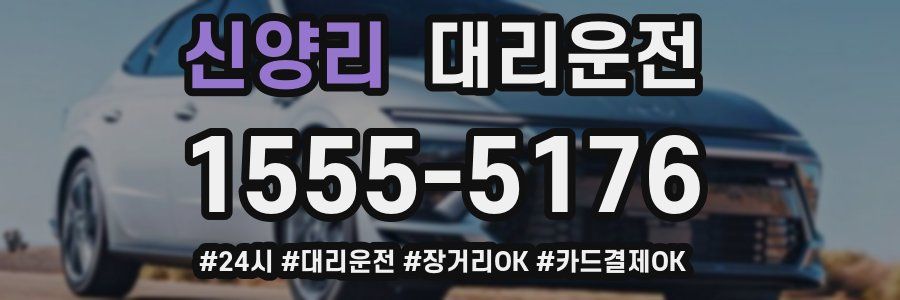 신양리 대리운전