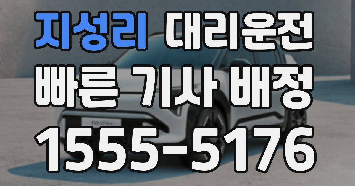 일일대리기사