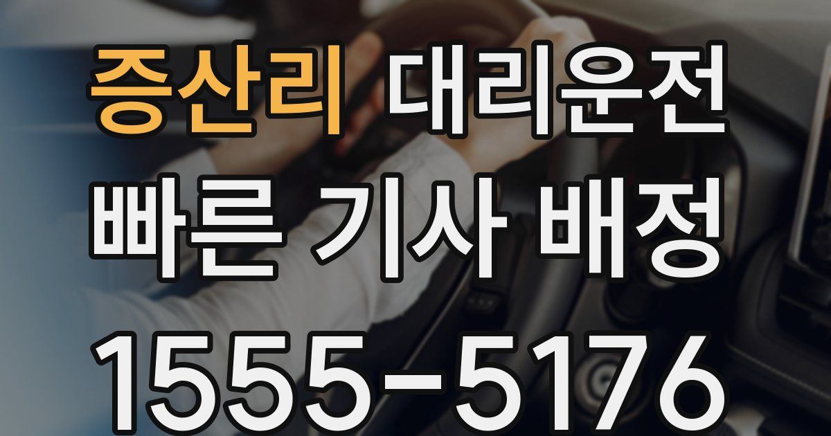 일일대리기사
