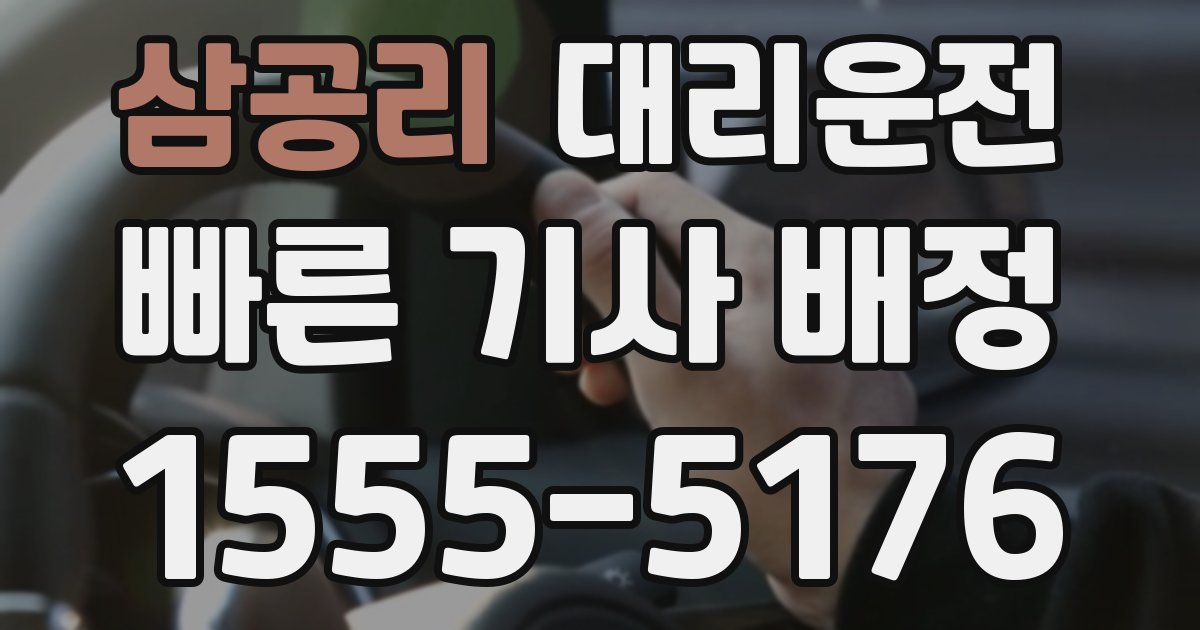 일일대리기사