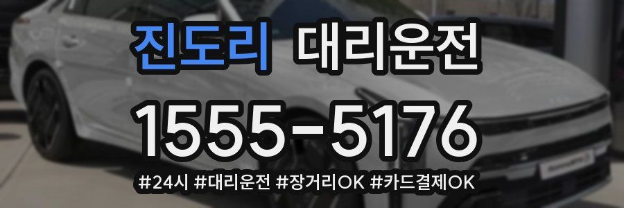 진도리 대리운전