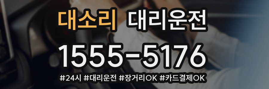 대소리 대리운전