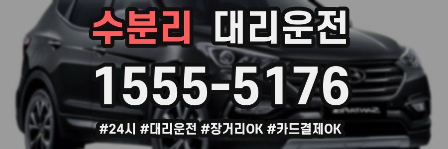 수분리 대리운전