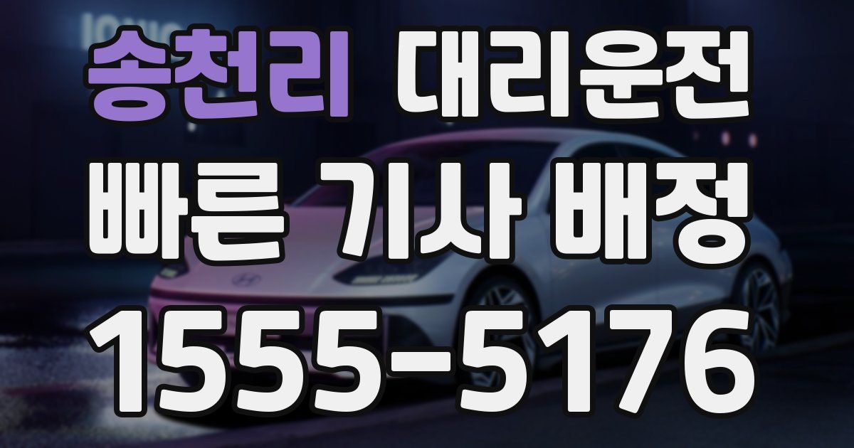일일대리기사