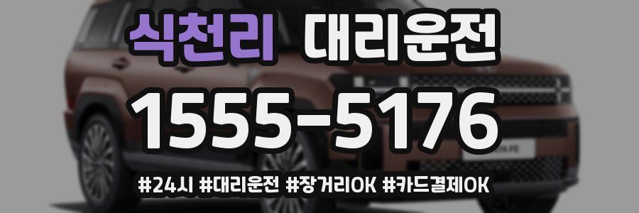 식천리 대리운전