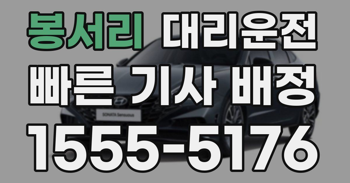 일일대리기사