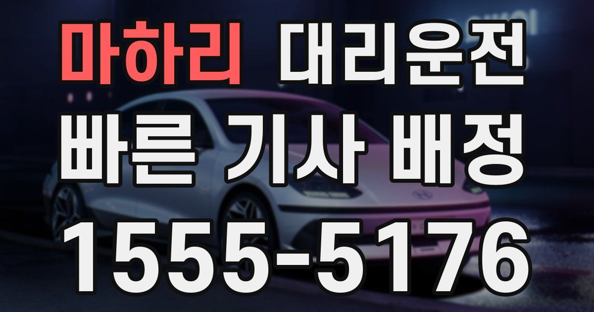 일일대리기사