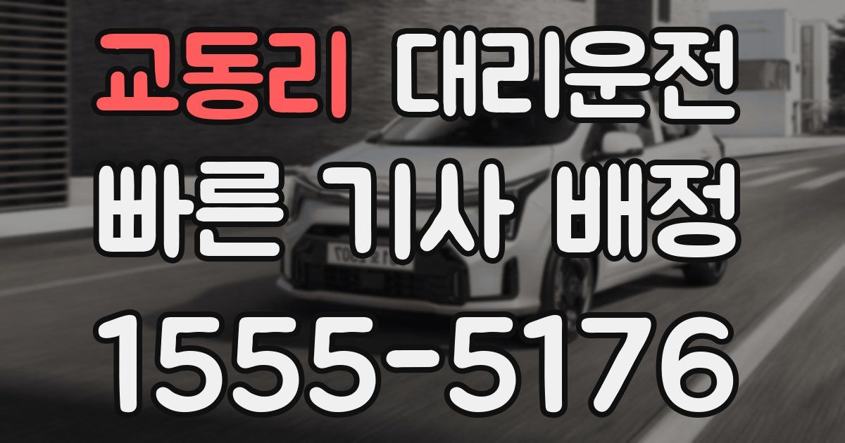 일일대리기사