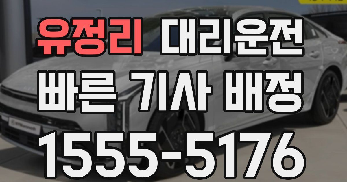 일일대리기사