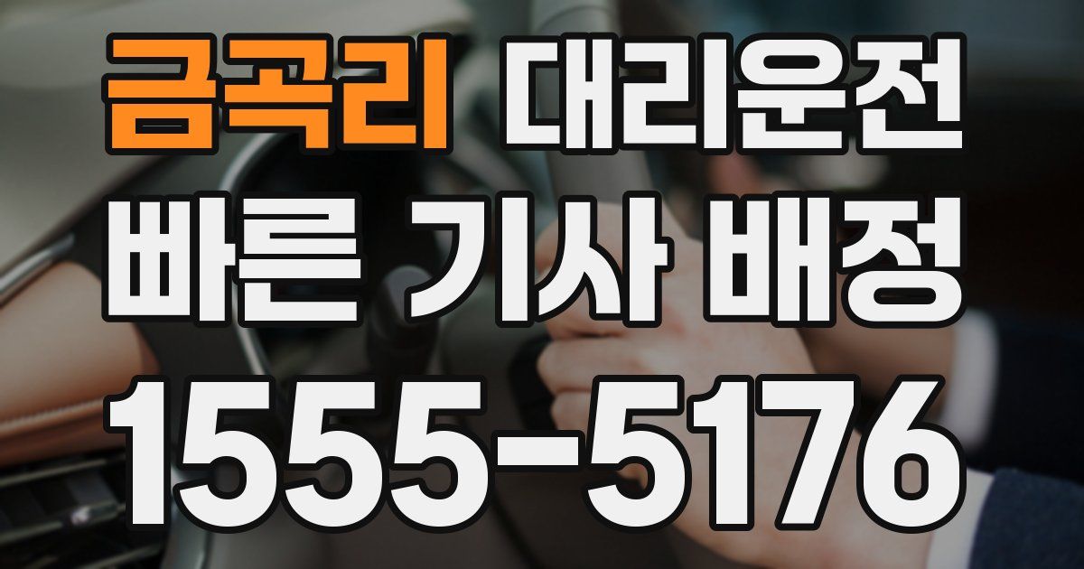 일일대리기사
