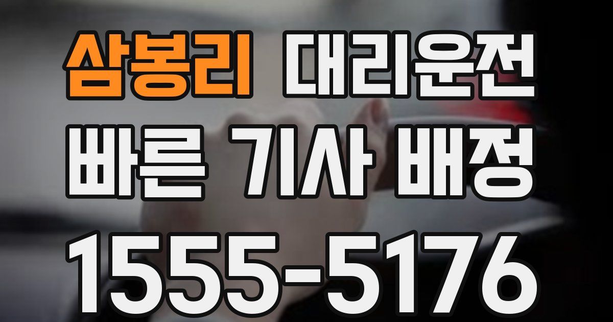 일일대리기사