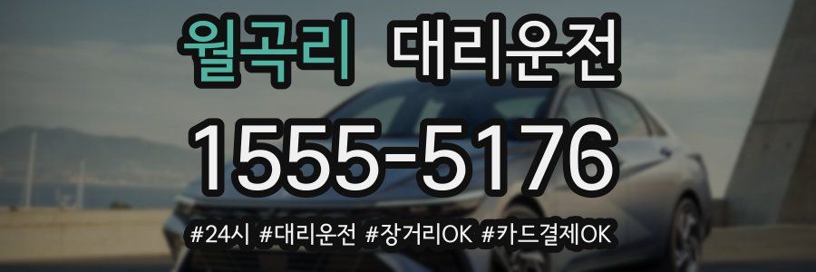 월곡리 대리운전