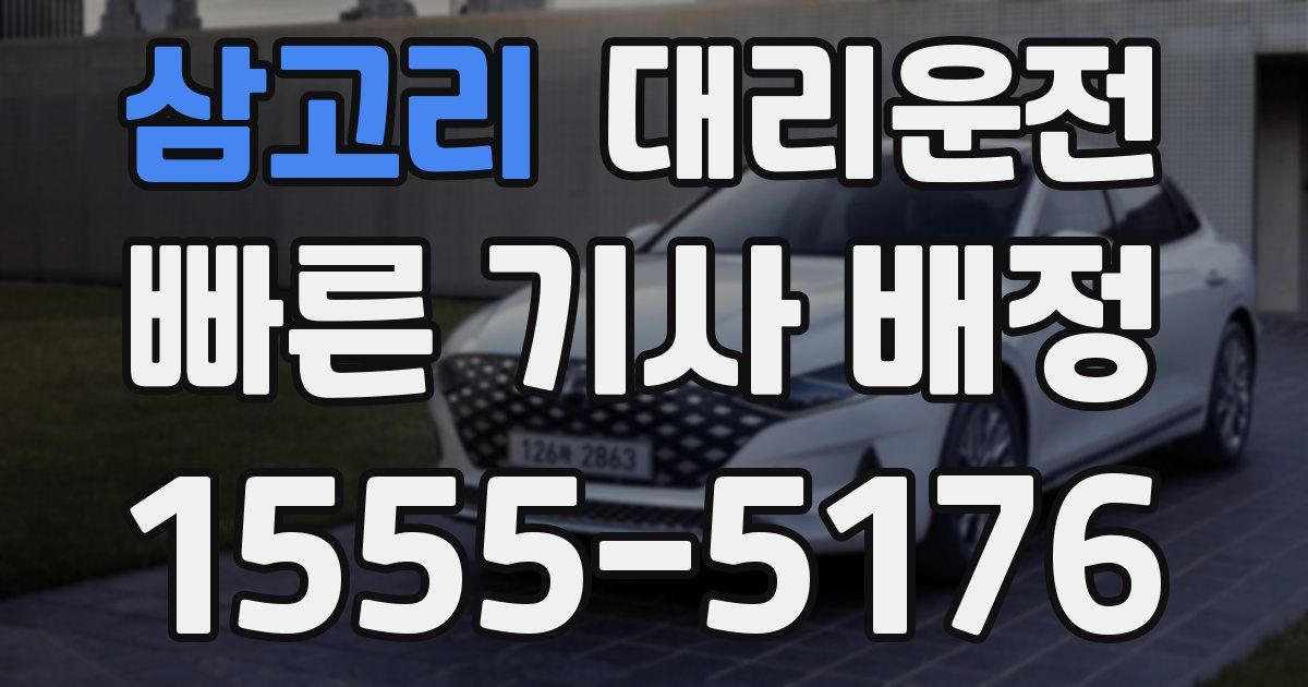 일일대리기사