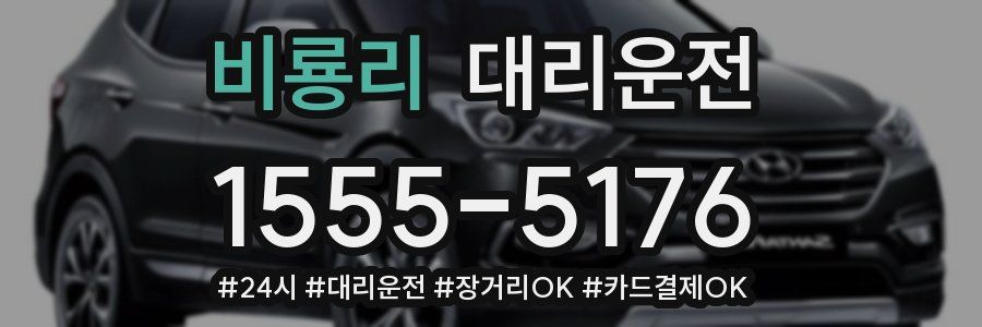 비룡리 대리운전