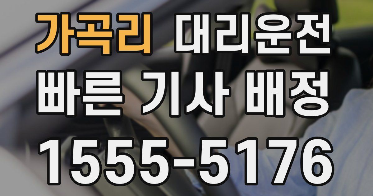 일일대리기사