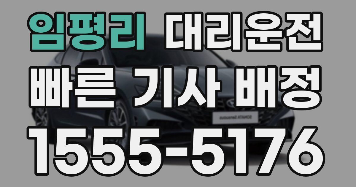 일일대리기사