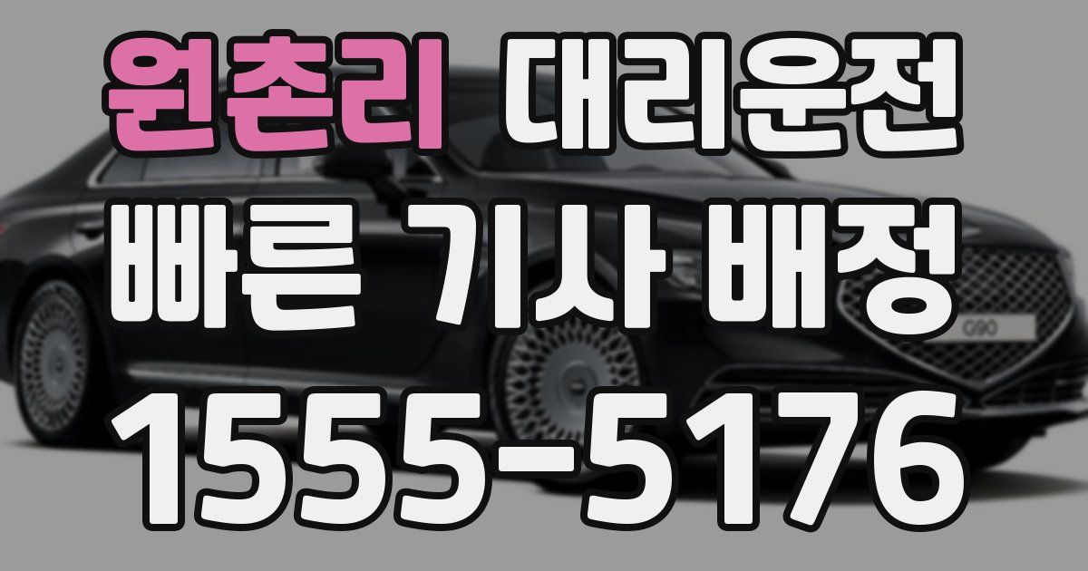 일일대리기사