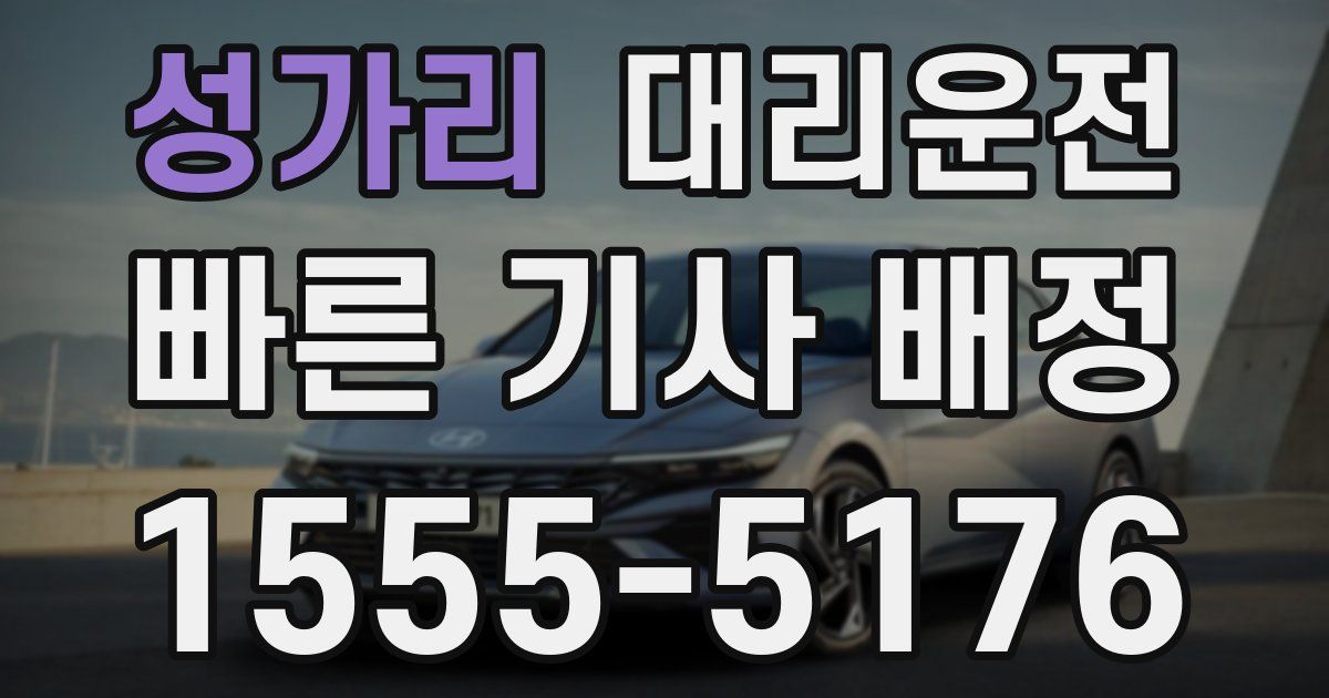 일일대리기사