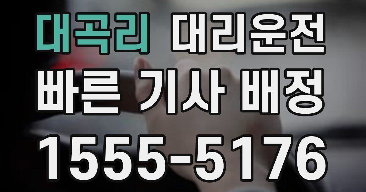 일일대리기사