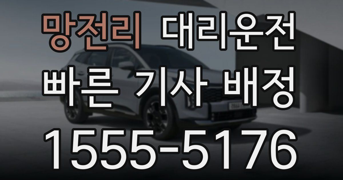 일일대리기사