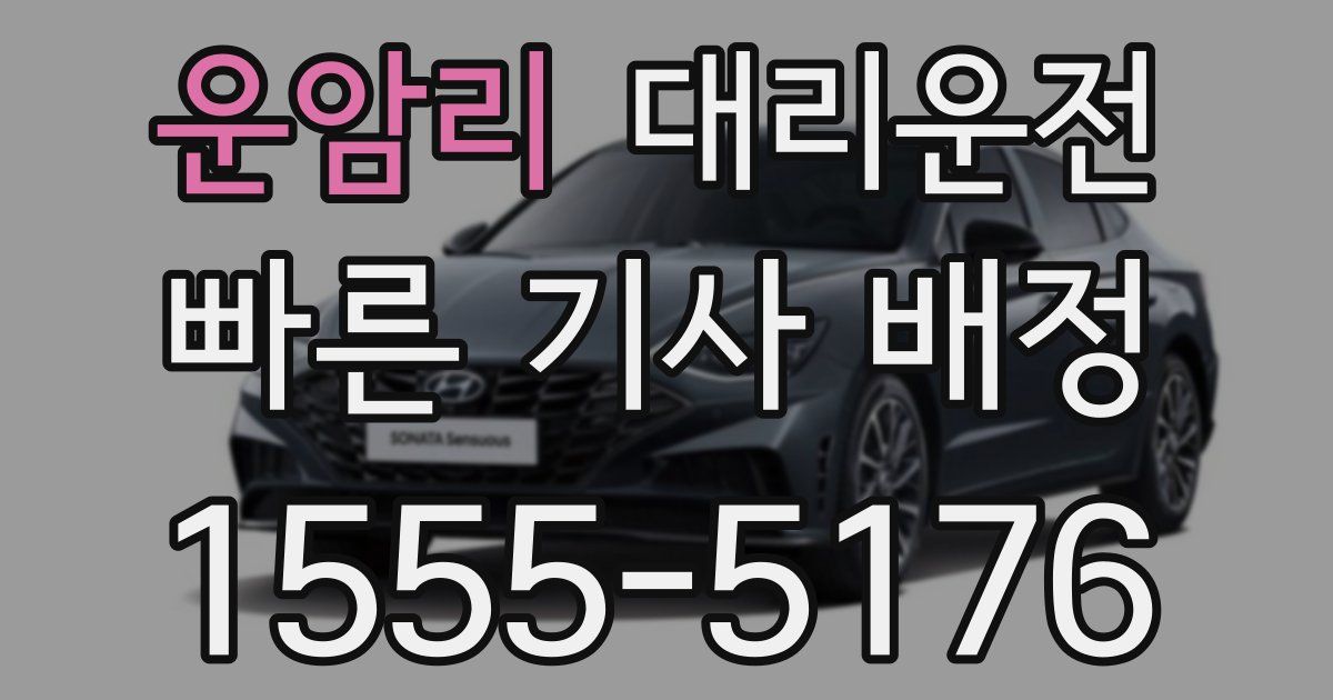 일일대리기사