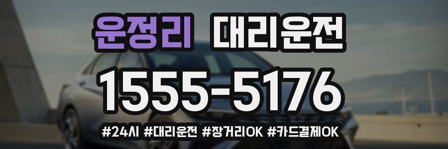 운정리 대리운전