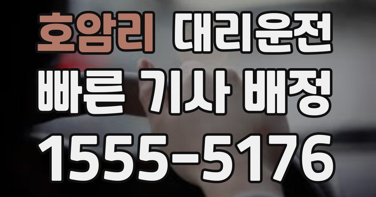 일일대리기사