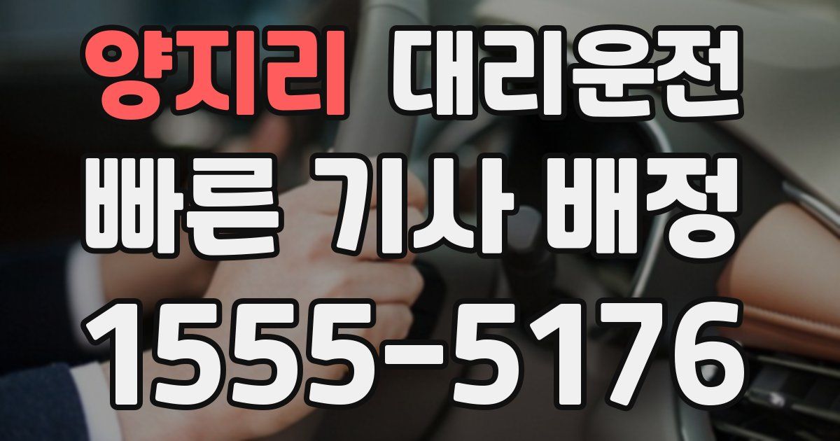 일일대리기사