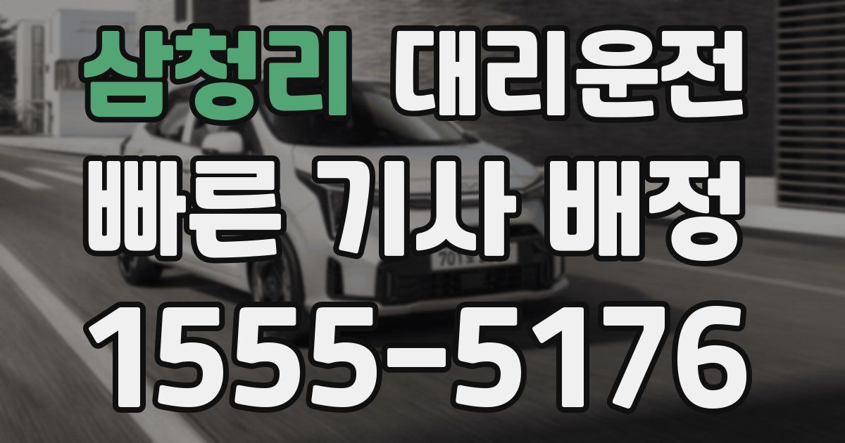 일일대리기사