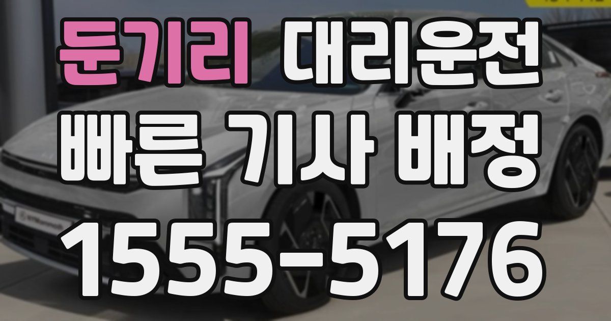 일일대리기사