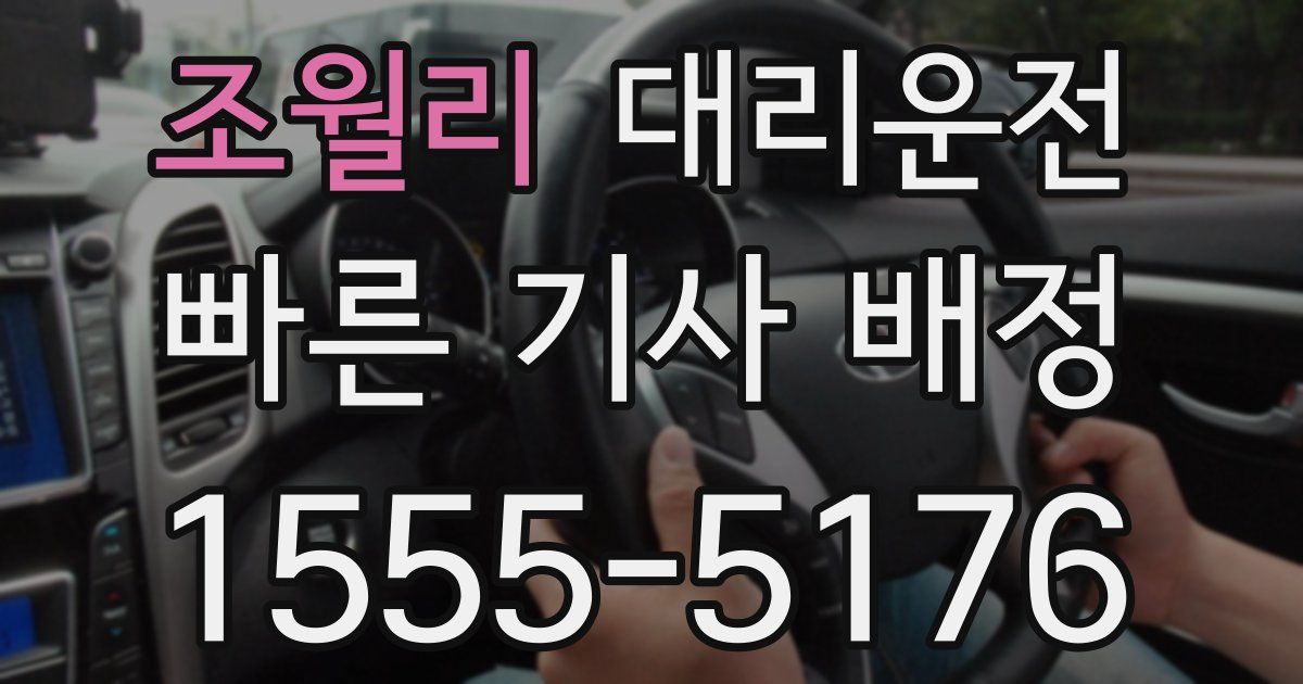 일일대리기사