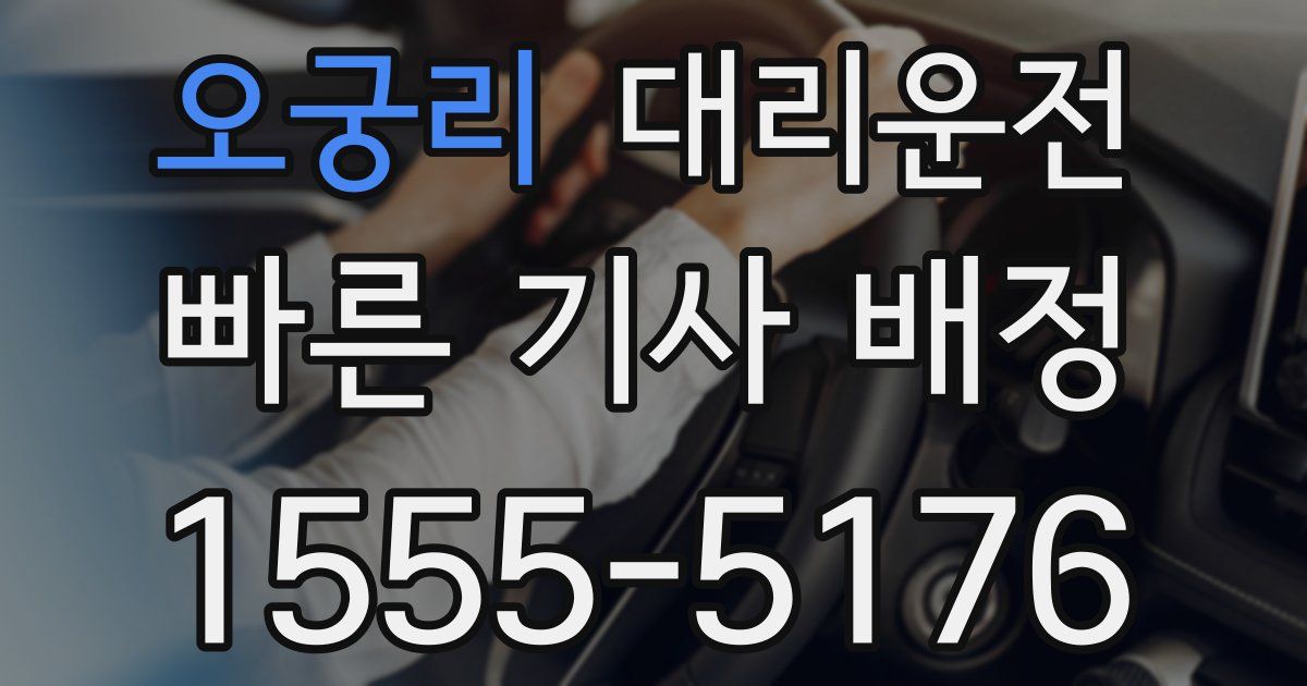 일일대리기사
