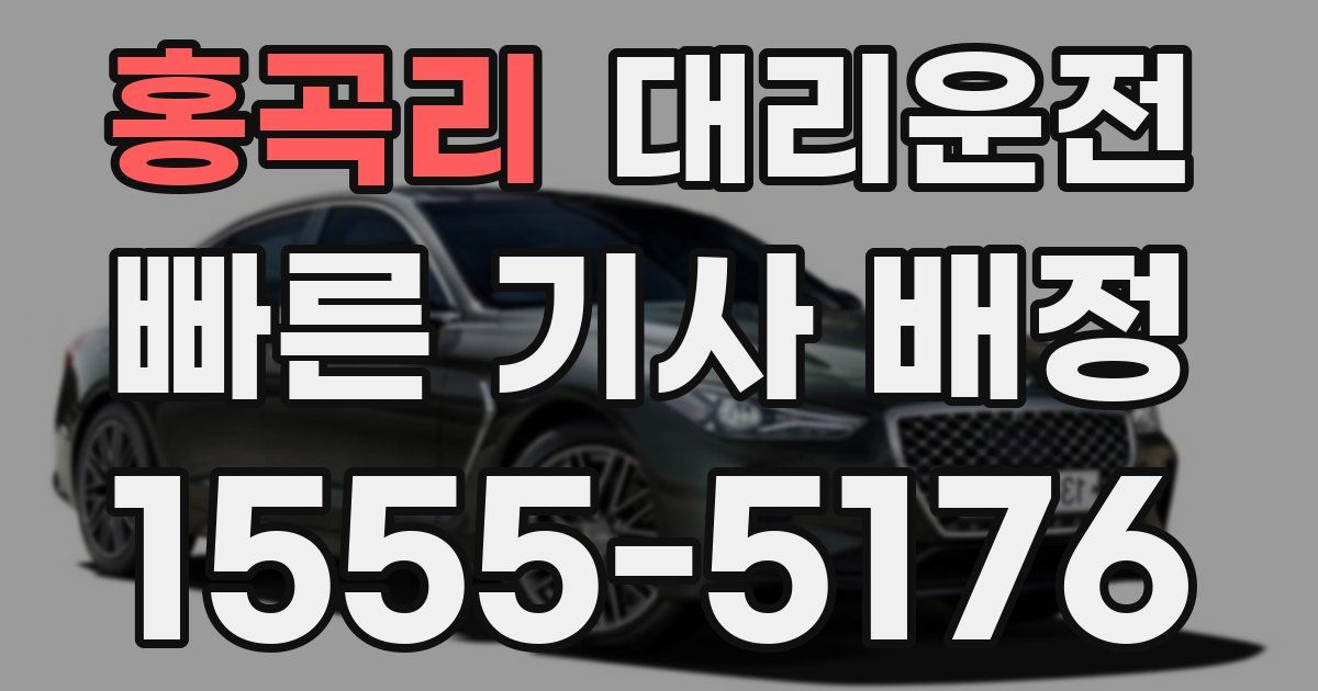 일일대리기사