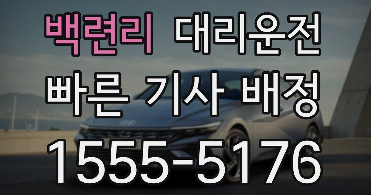 일일대리기사