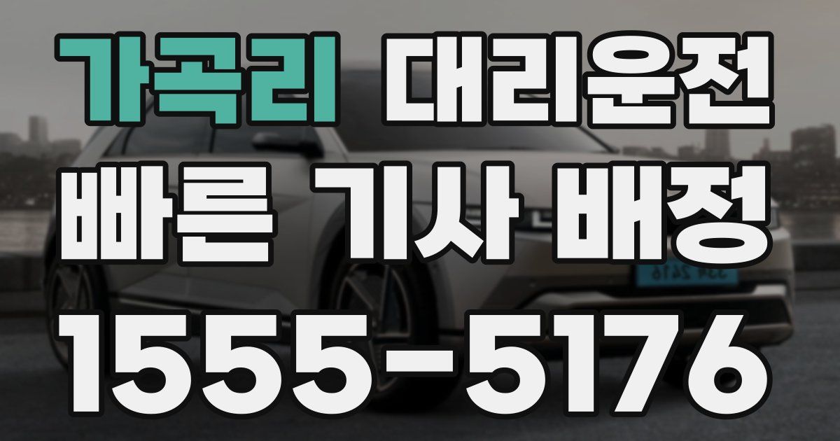 일일대리기사