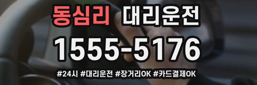 동심리 대리운전