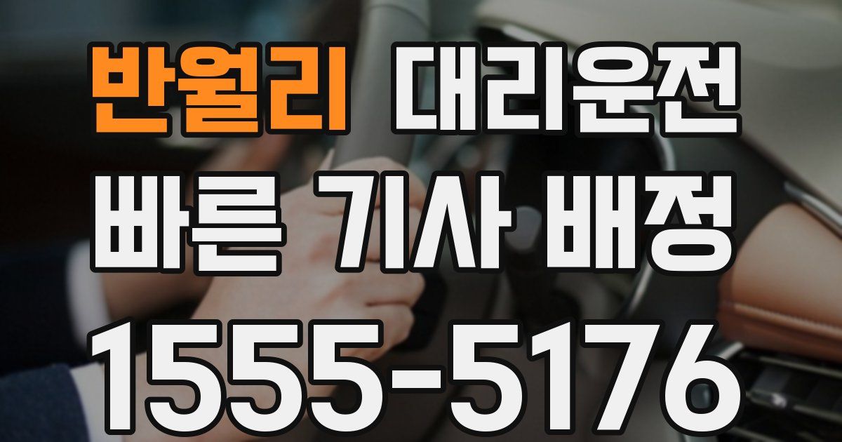 일일대리기사
