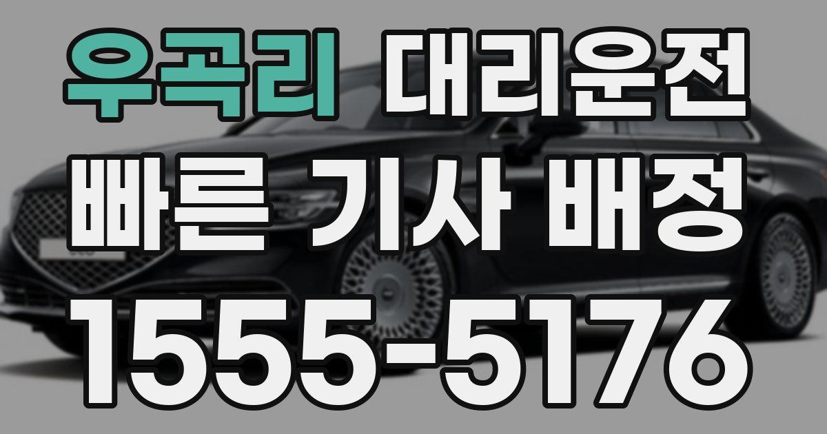 일일대리기사