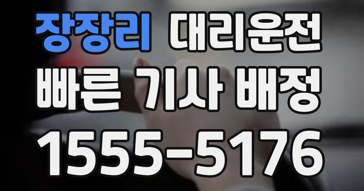 일일대리기사