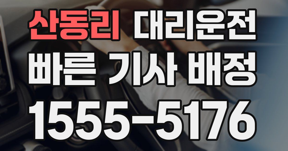 일일대리기사
